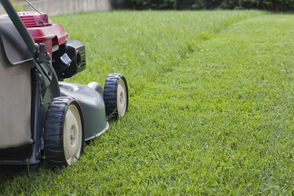 4 Mowing Tips For a Healthy Lawn