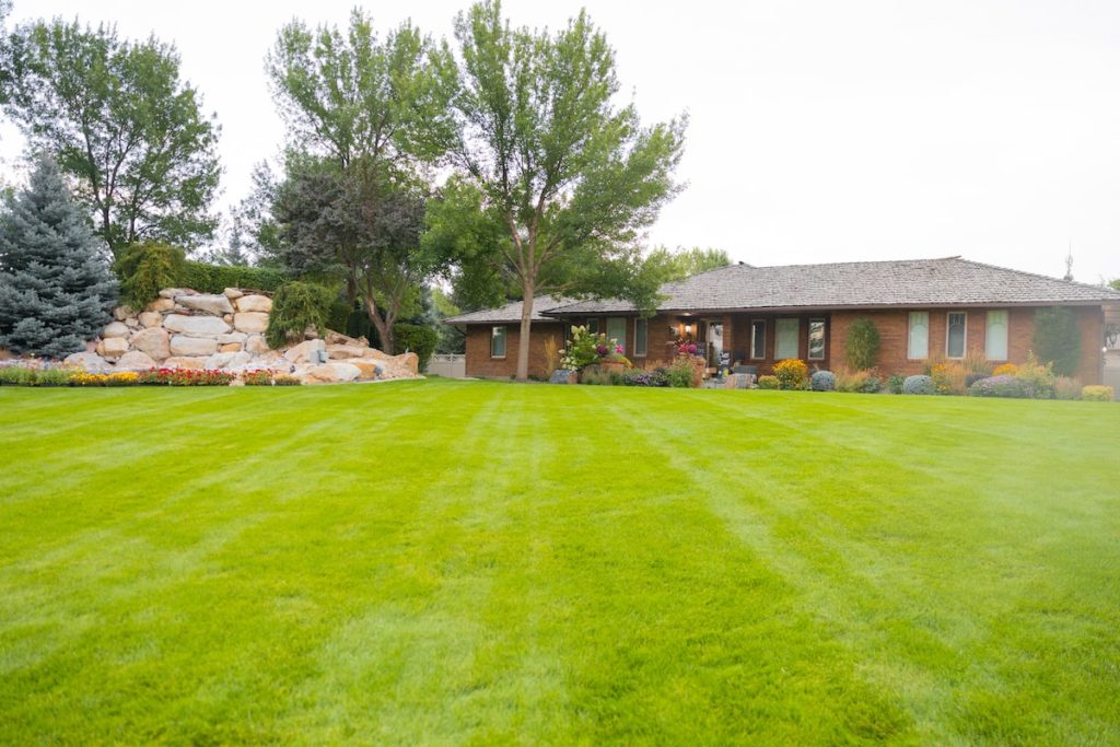 4 Tips To Care For Your Lawn